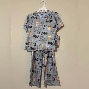 NWT Bluey Toddler 4T Pajama Set - Gray with bluey and bingo print.